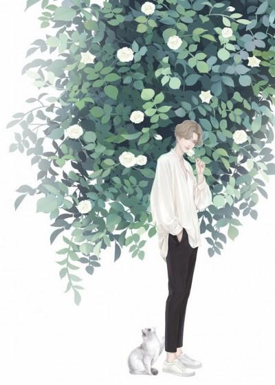 她不盈一握腰肢莫委綸戎隨友封面