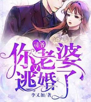 司爺，你老婆又逃婚了封面