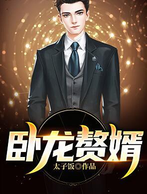 臥龍贅婿小說封面