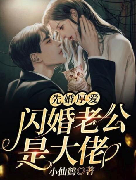 先婚厚愛：閃婚老公是大佬封面