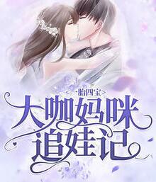 一胎四寶：大咖媽咪追娃記封面