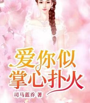 愛你似掌心撲火封面