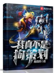 沈南錦秦奕川熱文封面