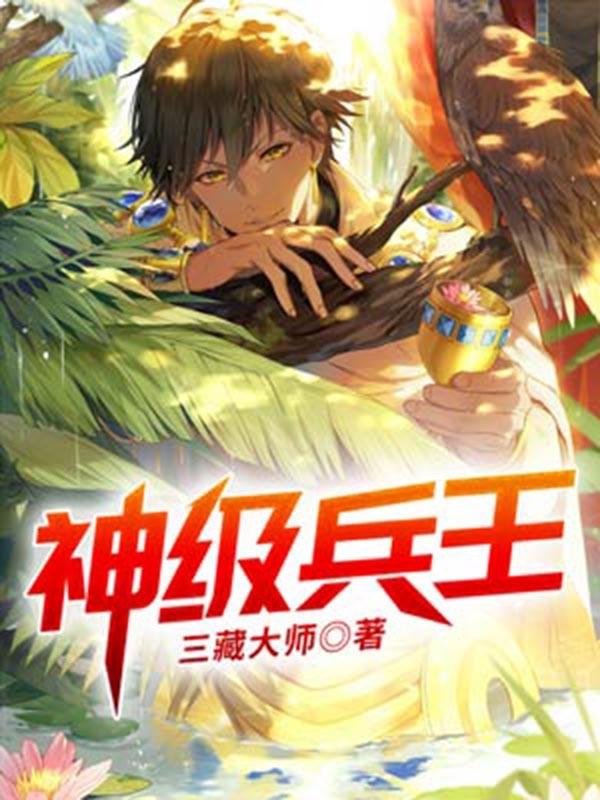 神級兵王封面