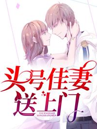 頭號佳妻送上門封面