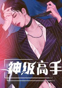 神級高手封面