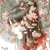 蘇云錦玄崇封面