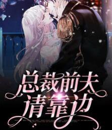 方禾穆九霄小說叫什么名字封面