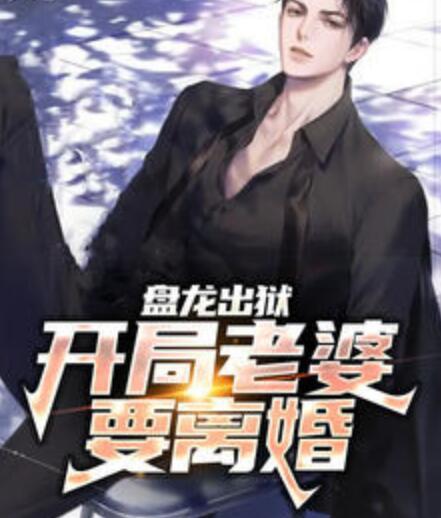 盤龍出獄：開局老婆要離婚封面