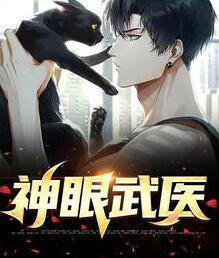 神眼武醫(yī)封面