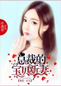 沈芳菲文澤禮封面