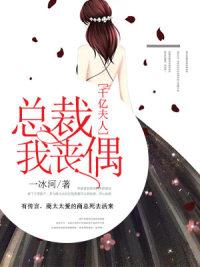 書名是司洛音傅時言封面