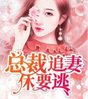 總裁追妻休要逃封面