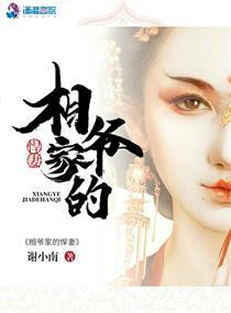 宋瑤傅淮塵小說(shuō)封面