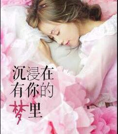 沉浸在有你的夢(mèng)里封面
