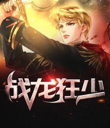 戰(zhàn)龍狂少封面