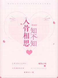 入骨相思知不知封面