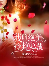 我的絕美冷艷總裁封面
