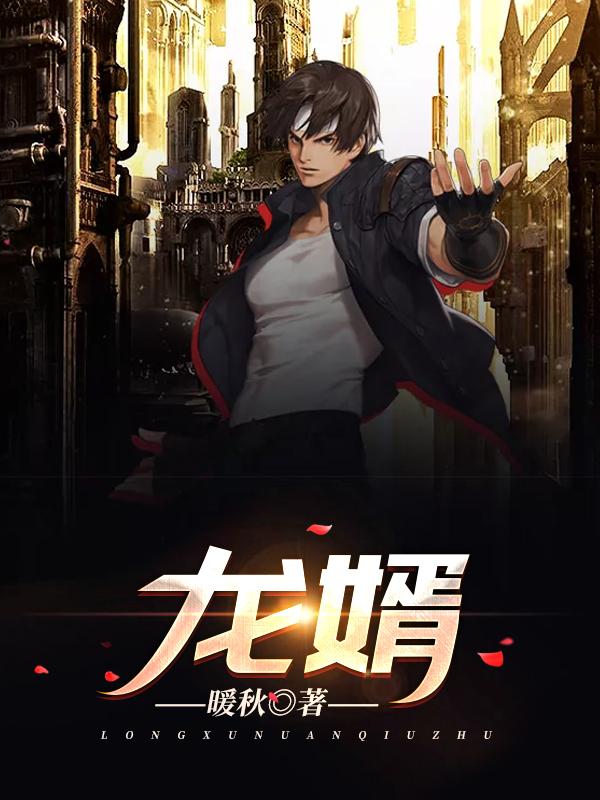 龍婿封面
