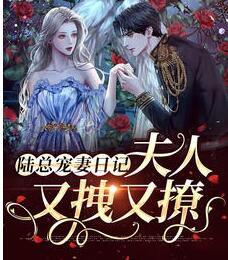 盛長歌陸胤臣是哪部小說的主角封面