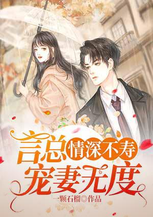 盛夏言景祗小說封面