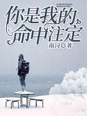 世子愛上小妾封面