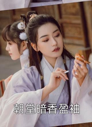 朝堂暗香盈袖封面