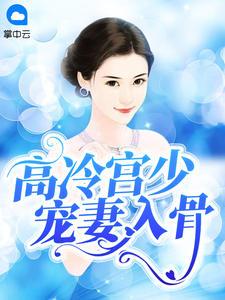 高冷宮少寵妻入骨封面