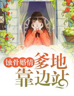 沈渃謝楚風(fēng)小說封面