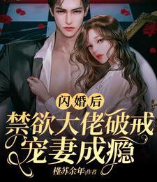 閃婚后，禁欲大佬破戒寵妻成癮封面