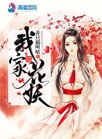 楚長寧燕北漠小說封面