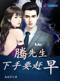 顧辰安沈漫漫封面