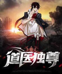 道醫(yī)獨尊封面