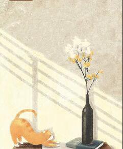 阮晴夏陸逸珩封面