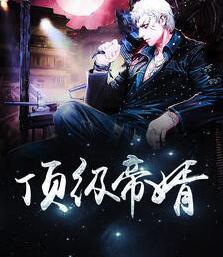 頂級帝婿封面