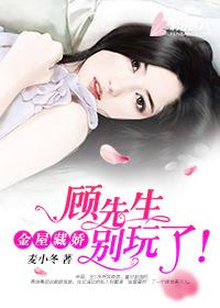 葉南枝蕭淮燁封面