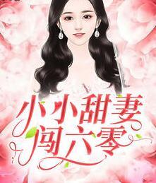 小小甜妻闖六零封面