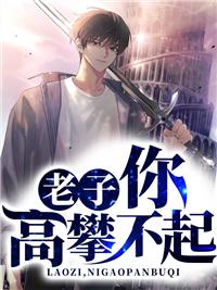 老子，你高攀不起封面