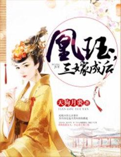 陸葉白風(fēng)雪封面