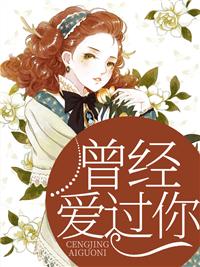 曾經(jīng)愛過你封面