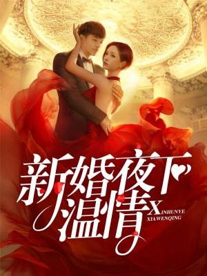 顏一晴薄以澤賞析封面