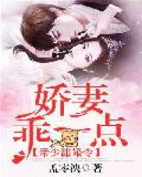 楊淺婼魏容恒封面