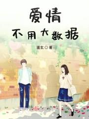 愛情不用大數(shù)據(jù)封面
