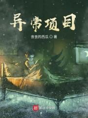 異常項(xiàng)目封面