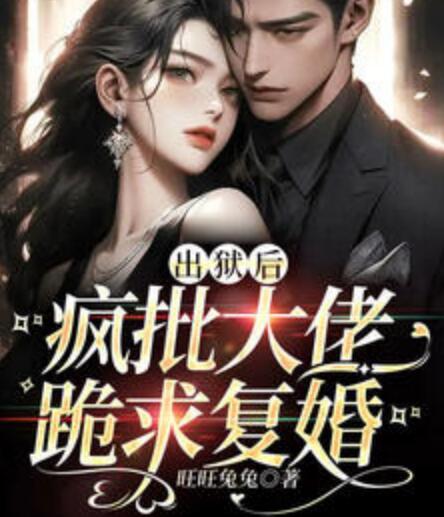 出獄后，瘋批大佬跪求復(fù)婚封面