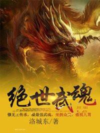 戰(zhàn)魂無雙封面