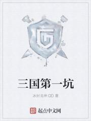 三國第一坑封面