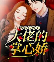 林晚澄沈斯宸封面