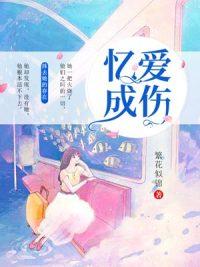 小小蕭默小說封面