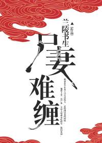 宋安嵐秦長安抖音小說封面